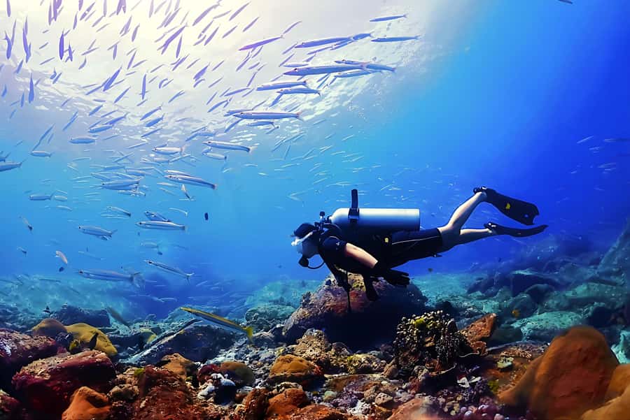 Phuket: Scuba Diving Maithon Or Racha Islands For All Levels - Choosing your session plan: beginner, snorkel, or certified refresher