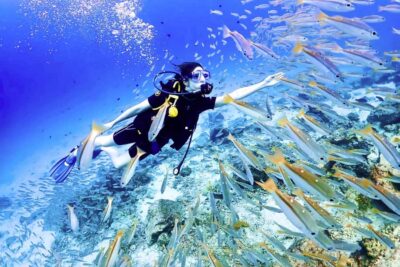 Phuket: Scuba Diving Maithon Or Racha Islands For All Levels - Small-group instruction that makes beginners stop panicking