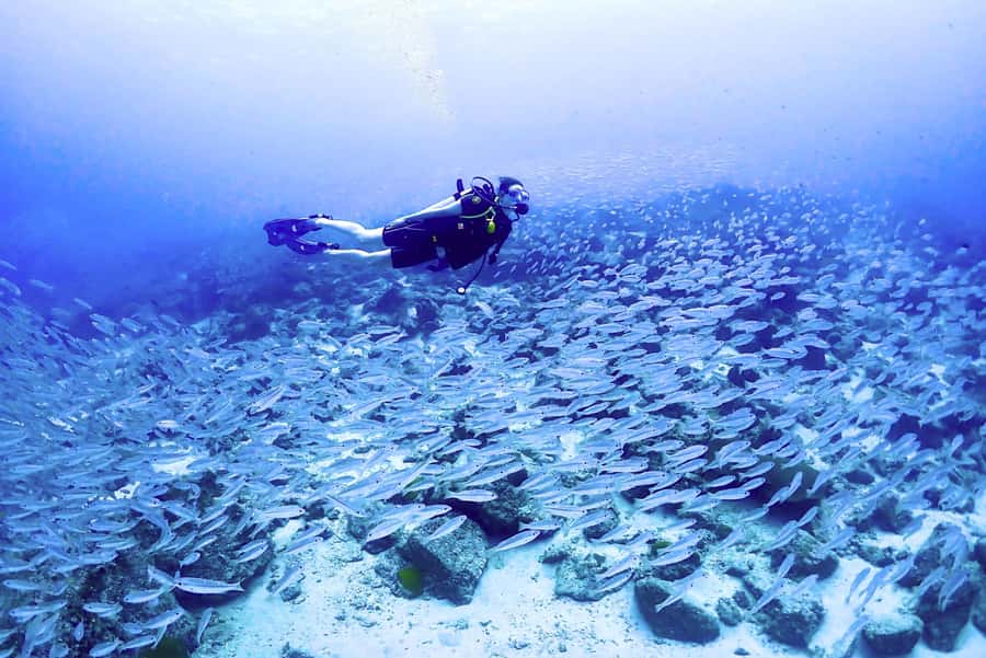 Phuket: Scuba Diving Maithon Or Racha Islands For All Levels - Racha Yai vs Racha Noi vs Maiton: how to pick