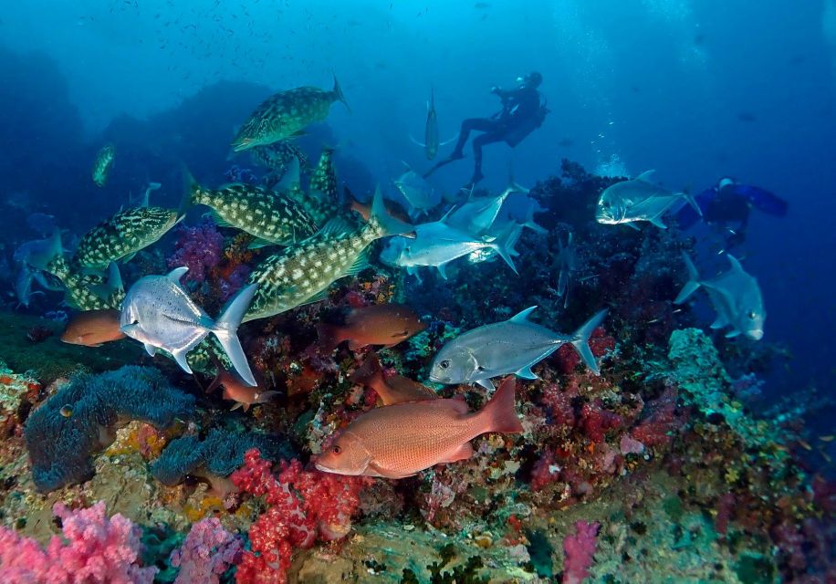 Phuket: Scuba Diving Maithon Or Racha Islands For All Levels - What’s included (and where people often spend extra)