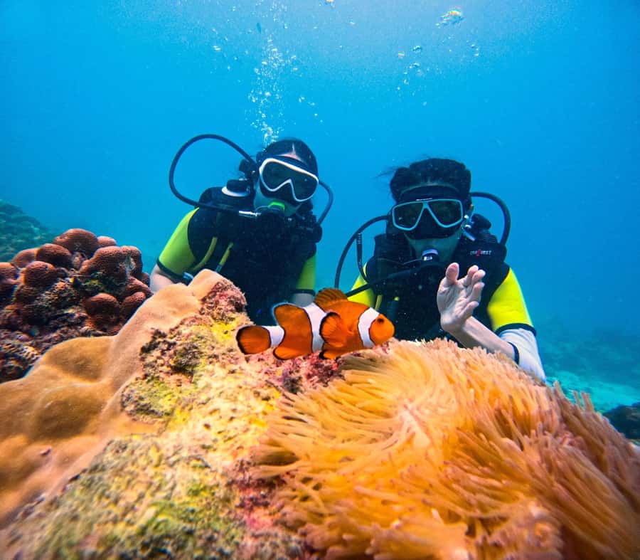 Phuket: Scuba Diving Maithon Or Racha Islands For All Levels - Transfers, surcharges, and how not to lose money at the last minute