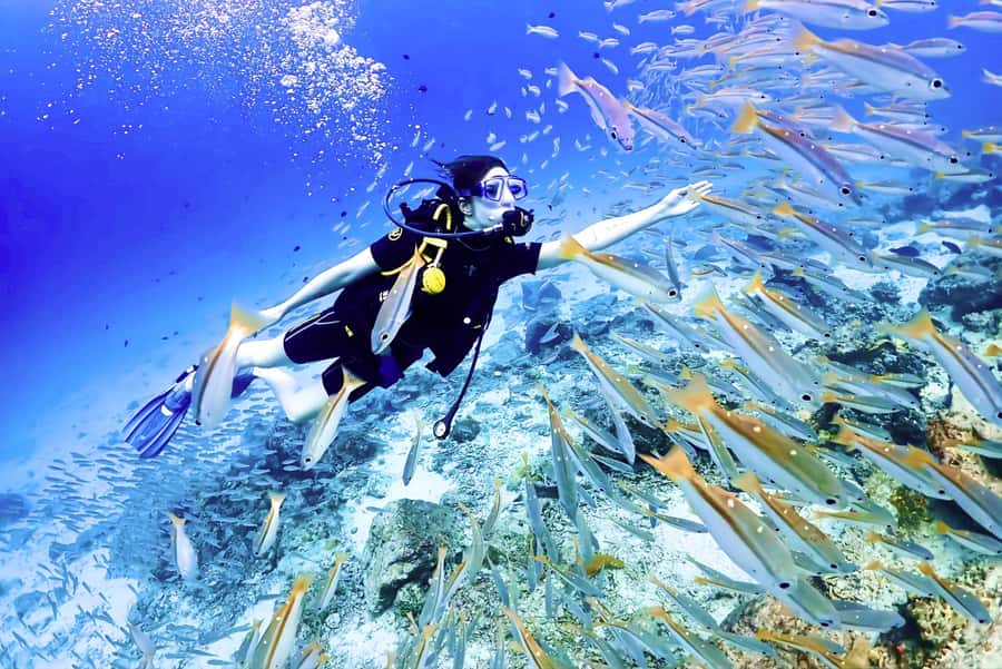 Phuket: Scuba Diving Maithon Or Racha Islands For All Levels - Small-group instruction that makes beginners stop panicking