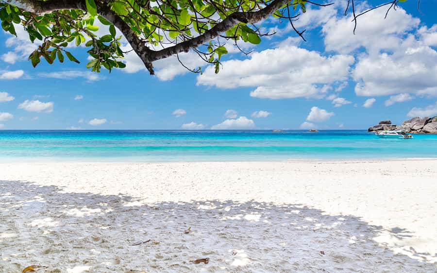 Phuket: Similan day full day trip by speedboat - Key things to know before you go