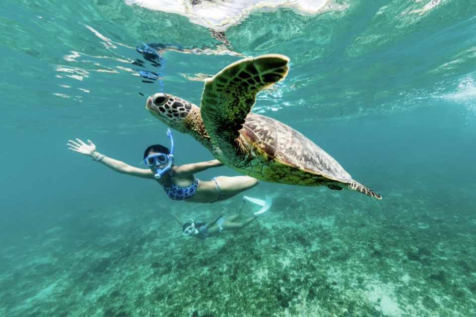 Phuket: Similan day full day trip by speedboat - Ko Payu and Ko Bangu: more chances to swim and see coral