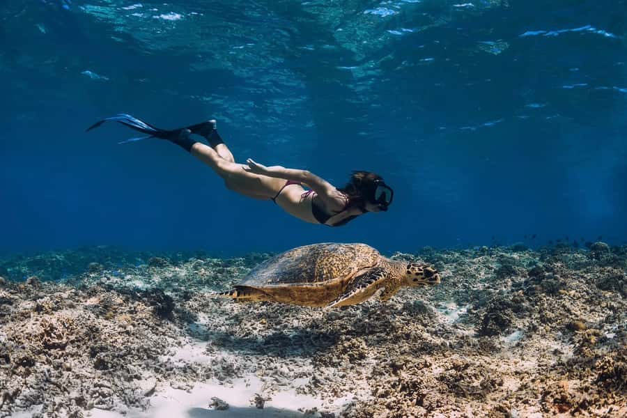 Phuket: Similan day full day trip by speedboat - The Similan Islands: beaches, dramatic views, and reef time