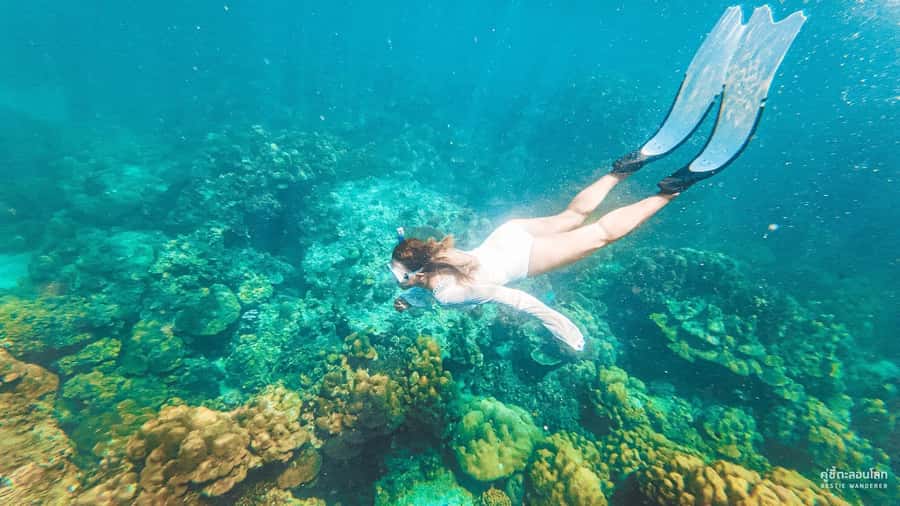 Phuket: Speedboat Day Trip to Phi Phi and Maya Bay - Phi Phi and Maya Bay by speedboat: why this day trip works