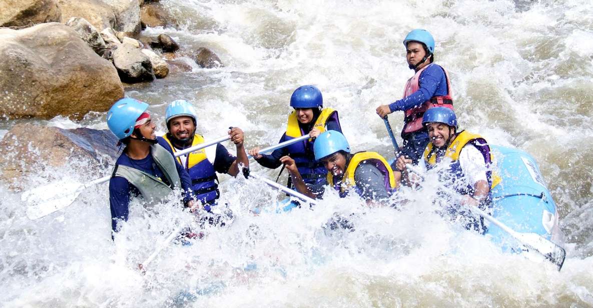 Phuket: White Water Rafting, Zipline, and Elephant Sanctuary - Elephant Jungle Sanctuary: feeding and washing, plus the ethics you should weigh