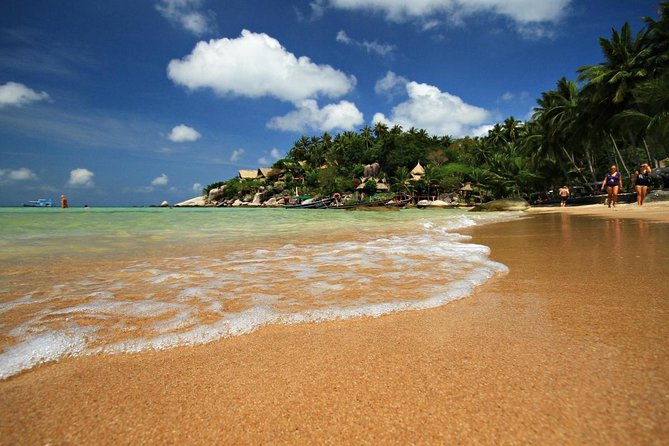 Pig Island Snorkeling & Sightseeing Tour By Speedboat From Koh Samui - Key things to know before you go