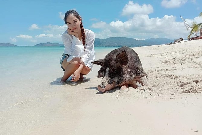 Pig Island Snorkeling & Sightseeing Tour By Speedboat From Koh Samui - Stop 1: Koh Taen Snorkeling (2 Hours) and the Reef Expectations