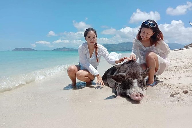 Pig Island Snorkeling & Sightseeing Tour By Speedboat From Koh Samui - Lunch, Water, and the Little Things That Save Your Day