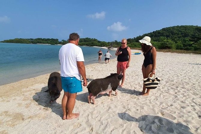 Pig Island Snorkeling & Sightseeing Tour By Speedboat From Koh Samui - Boat Ride Comfort and Group Size (Up to 30)