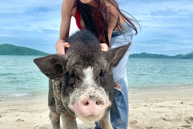 Pig Island Tour by Speedboat with Snorkeling - Koh Tan Snorkeling: Gear Included, Conditions Vary