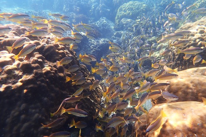 Private Full-Day Red Dragon Yacht to Angthong National Marine Park - Price and value: what $2,478.45 per group means in real life