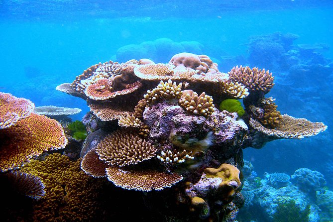 Private Phi Phi & 4 Islands Sunset Cruise by Speedboat - from Krabi - Bamboo Island and Ko Bida Nok: the snorkeling pair you’ll remember