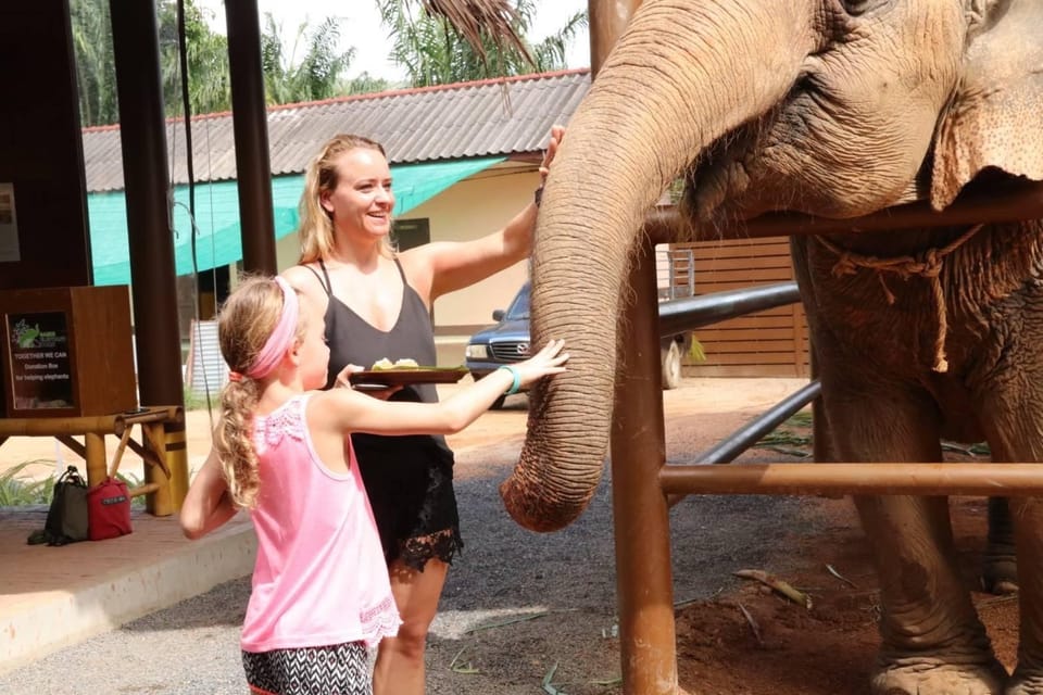 Samui: Elephant Nutrition and Care Education Experience - What to bring (and what not to expect)