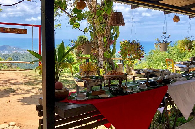 Samui X Quad ATV Tour (1 Driver) with Lunch - Price and logistics: what you are really paying for