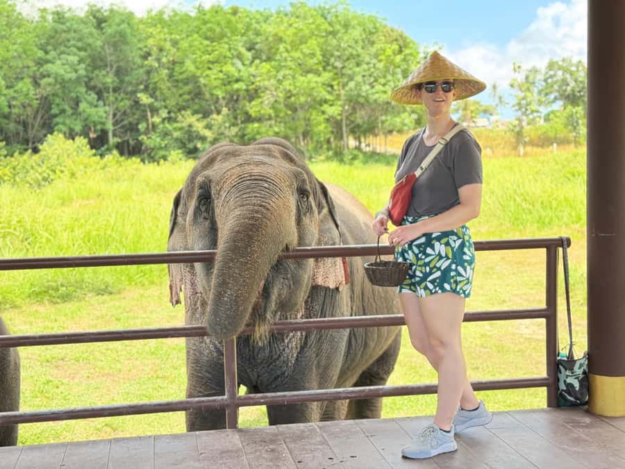 Samui:Elephant Jungle experience & The First Elephant Museum - Who this Samui elephant experience is best for
