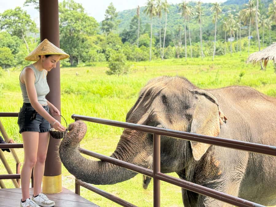 Samui:Elephant Jungle experience & The First Elephant Museum - From your Samui hotel to Samui Elephant Home