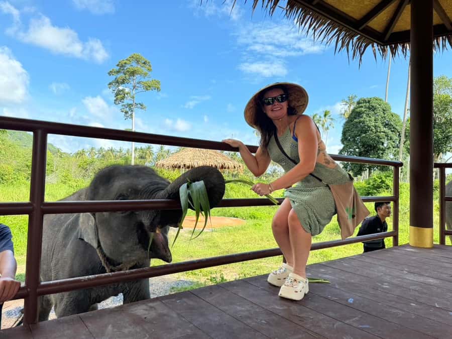 Samui:Elephant Jungle experience & The First Elephant Museum - Mahouts and organic food: how nutrition fits elephant wellbeing