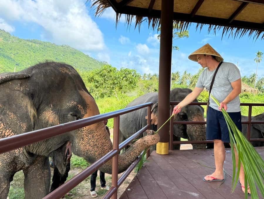 Samui:Elephant Jungle experience & The First Elephant Museum - Seed bombs in the forest: turning care into action