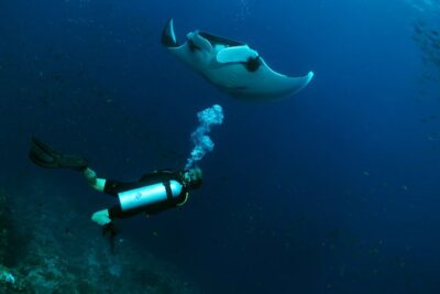 Scuba Dive in Koh Lanta, Thailand - Price and logistics: is $146.75 good value?