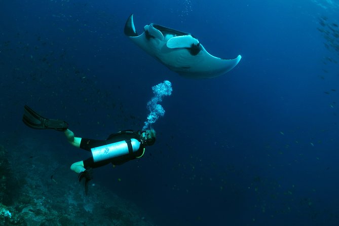Scuba Dive in Koh Lanta, Thailand - Price and logistics: is $146.75 good value?