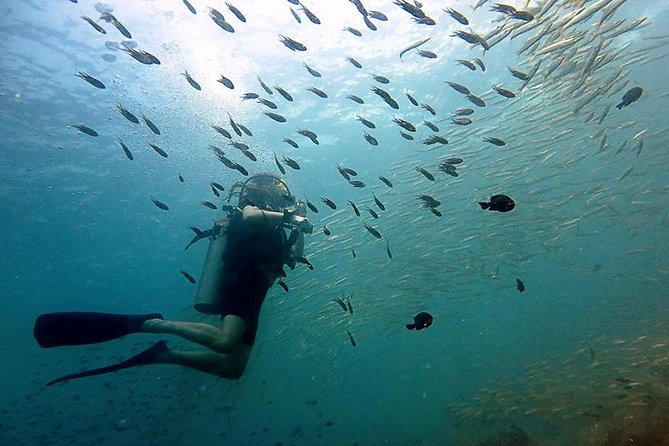 Scuba Diving Day Trip at Koh Chang – 2 Dives - Why HTMS Chang is a stop you can’t fake with postcard photos