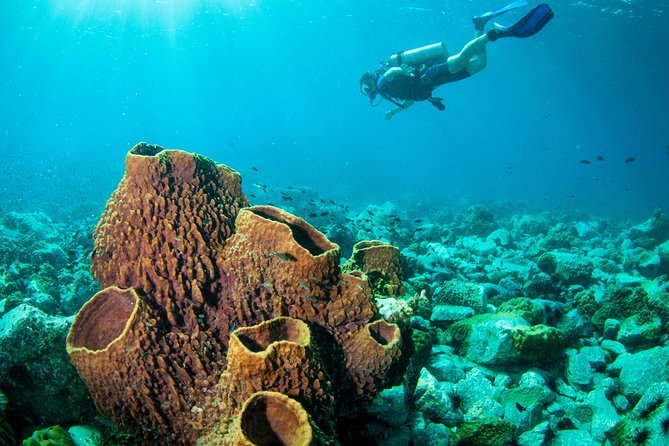 Scuba Diving Day Trip at Koh Chang – 2 Dives - Koh Rang National Park: calmer water, multiple stops, and lots to see