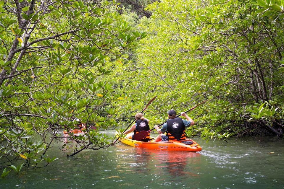 Sea Kayaking in Ao Thalane & Optional Full-Day Hong Island - Key things you’ll notice on this kayaking day