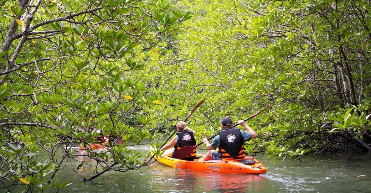 Sea Kayaking in Ao Thalane & Optional Full-Day Hong Island - Timing, effort level, and how the day feels in motion
