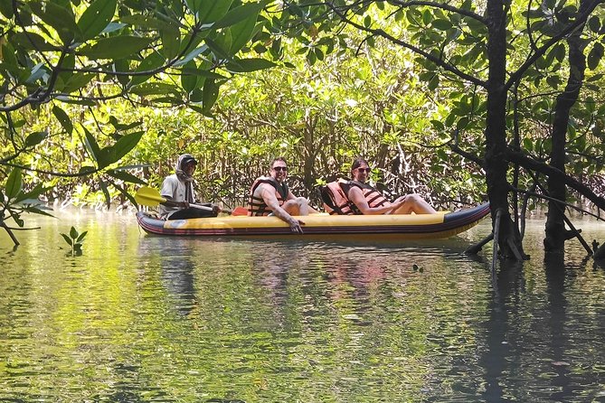 Secrets Of Phang Nga Bay Boat Tour From Phuket By Phuket Sail Tours - Mangrove forest + sea cave canoeing: the heart of the experience