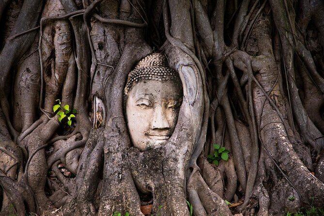 Small Group Tour to Ayutthaya Temples from Bangkok with Lunch - Key Things That Make This Ayutthaya Tour Work