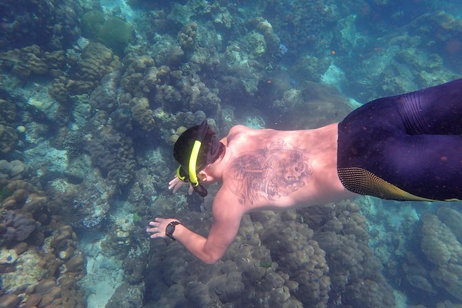 Snorkel Adventure Sea Tour to Koh Rok and Koh Haa from Koh Lanta - Koh Rok and Koh Rok Nai: national-park beaches plus reef time