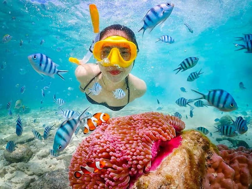 Snorkel & Chill: Nemo Island Trip from Pattaya - Nemo Island from Pattaya: why this route makes sense