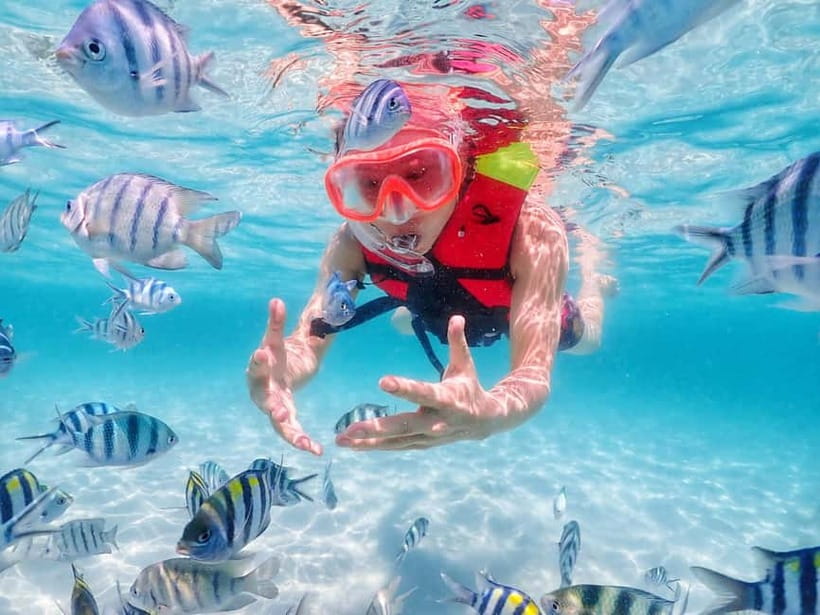 Snorkel & Chill: Nemo Island Trip from Pattaya - Samesan snorkeling: what makes the spots feel worth it