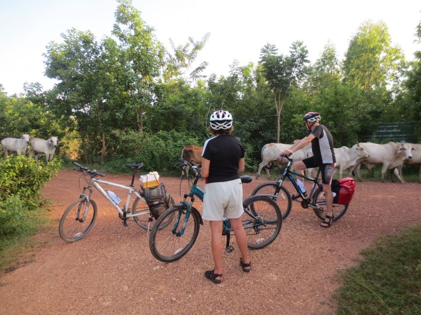 Sukhothai: Historical Park & Countryside Cycling Tour - Ban Khuai to Village Roads: Start Quiet, Then Start Talking