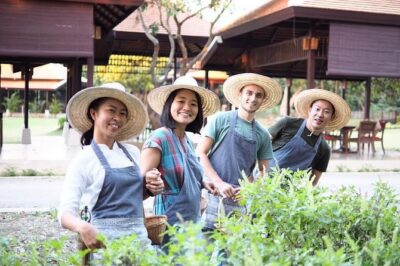 Sunset Thai Cooking with Grandma - Farm & Evening Feast - Open-Air Kitchen Cooking: Your Station, Your Pace, Golden Light