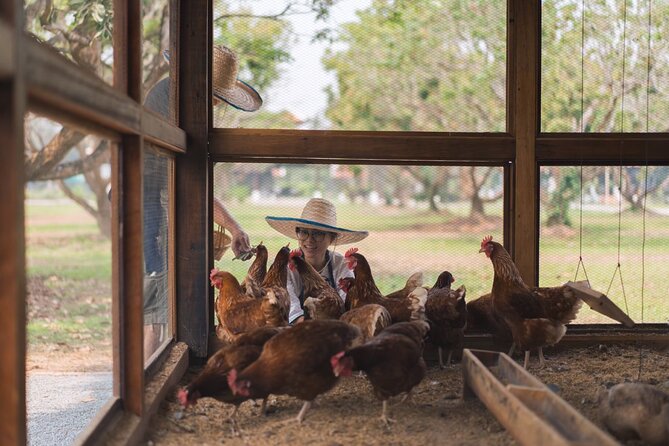 Sunset Thai Cooking with Grandma - Farm & Evening Feast - Dietary Options and Gluten-Free Handling (What to Expect)