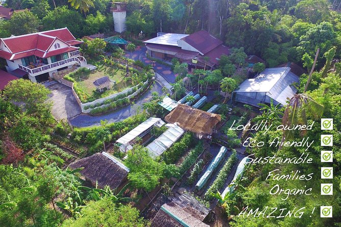 Thai Cooking Class | Since 2012 | Farm to Table - Harvesting and Prep: What You’ll Do Before Heat Hits