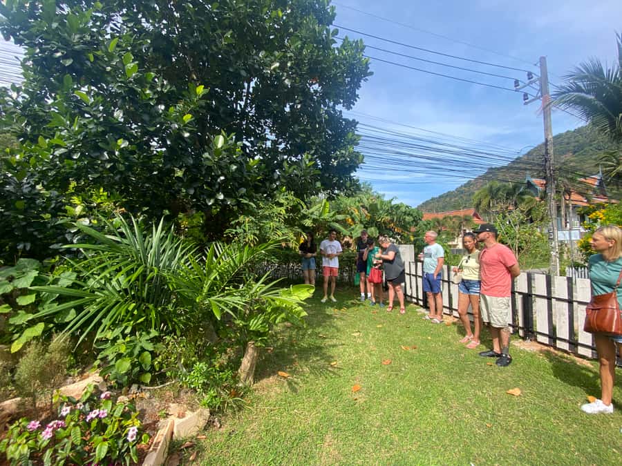 Thai Cooking Class with Market & Garden Tour - Should you book this experience in Phuket?