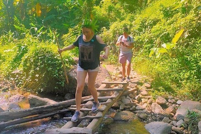 Top Pick - Full or Half Day @Elephant in Wild Sanctuary ChiangMai - Quick hits before you go