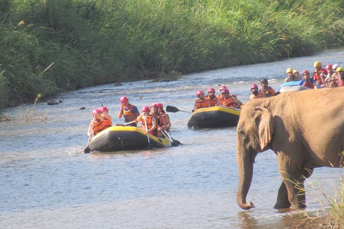 Top Pick - Full or Half Day @Elephant in Wild Sanctuary ChiangMai - White-water rafting in the rainforest
