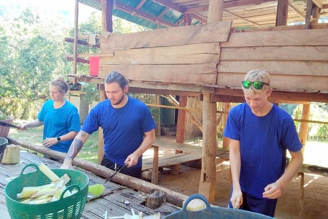 Top Pick - Full or Half Day @Elephant in Wild Sanctuary ChiangMai - Ethical reality check: elephants in a sanctuary setup