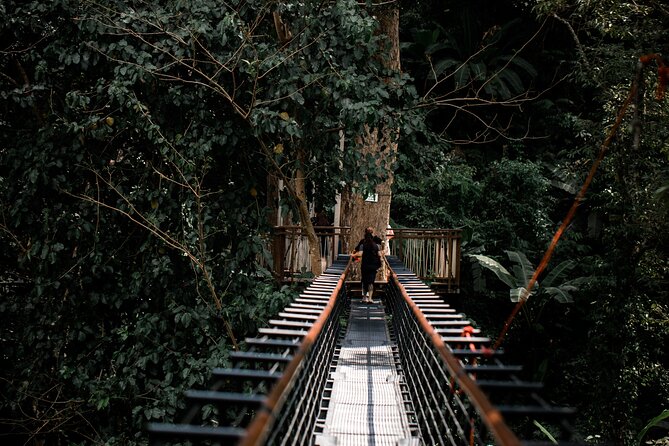 World B+ (Zipline 18 Platforms + Roller + Sky Walk with World Set Menu ) - Dual Zipline: A Team Moment Built Into the Circuit