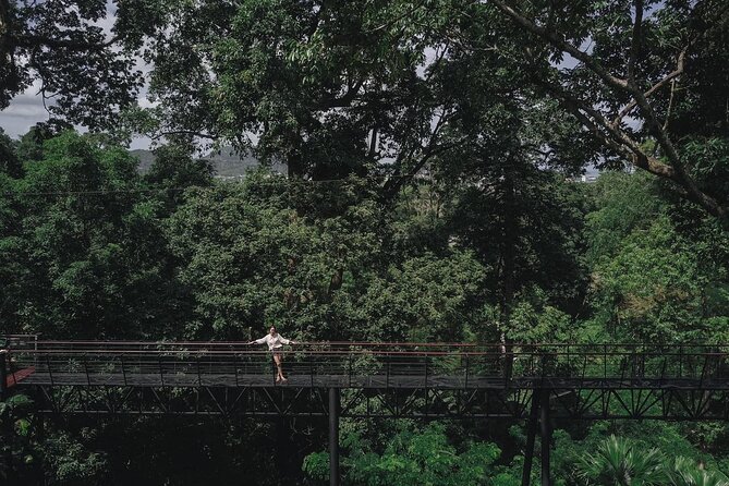 World C+ (Ziplines 10 Platforms + Roller + Sky Walk and World Set Menu ) - World C+ at Hanuman World Phuket: what you’re really buying