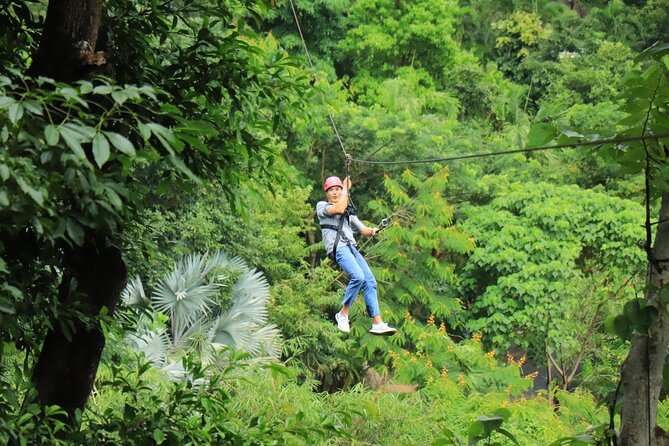 World C+ (Ziplines 10 Platforms + Roller + Sky Walk and World Set Menu ) - Roller Zipline: 800 meters over the rainforest at about 40 km/h