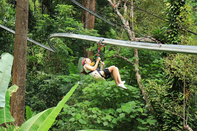 World C+ (Ziplines 10 Platforms + Roller + Sky Walk and World Set Menu ) - Sky Walk bridges: adrenaline off, views on